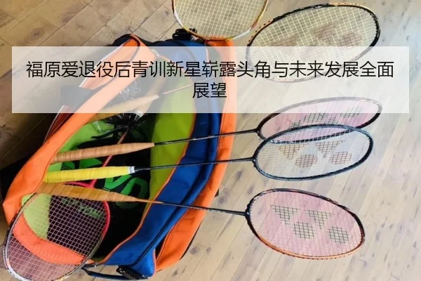 福原爱退役后青训新星崭露头角与未来发展全面展望